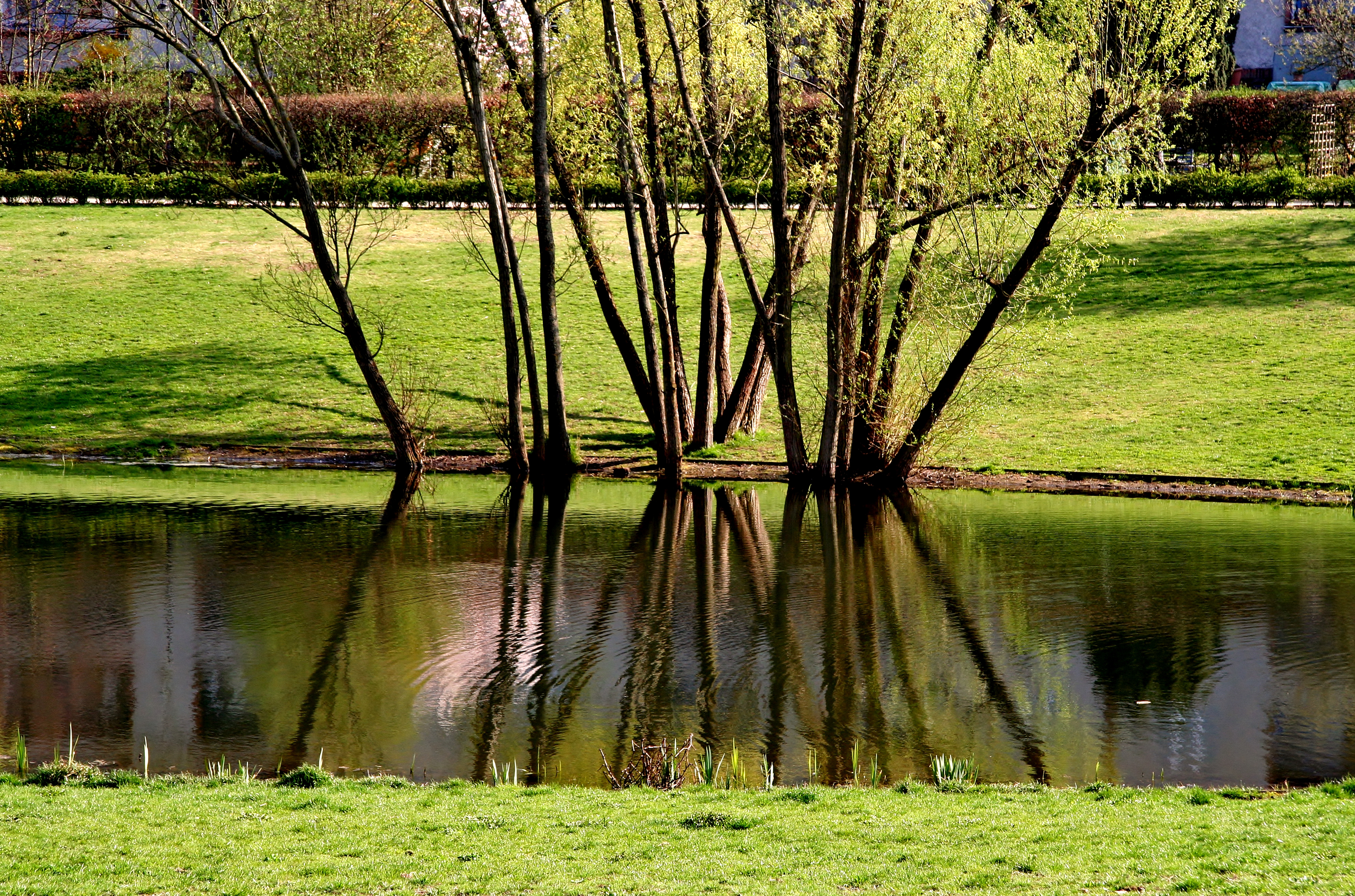 Red Hills hero slide 24