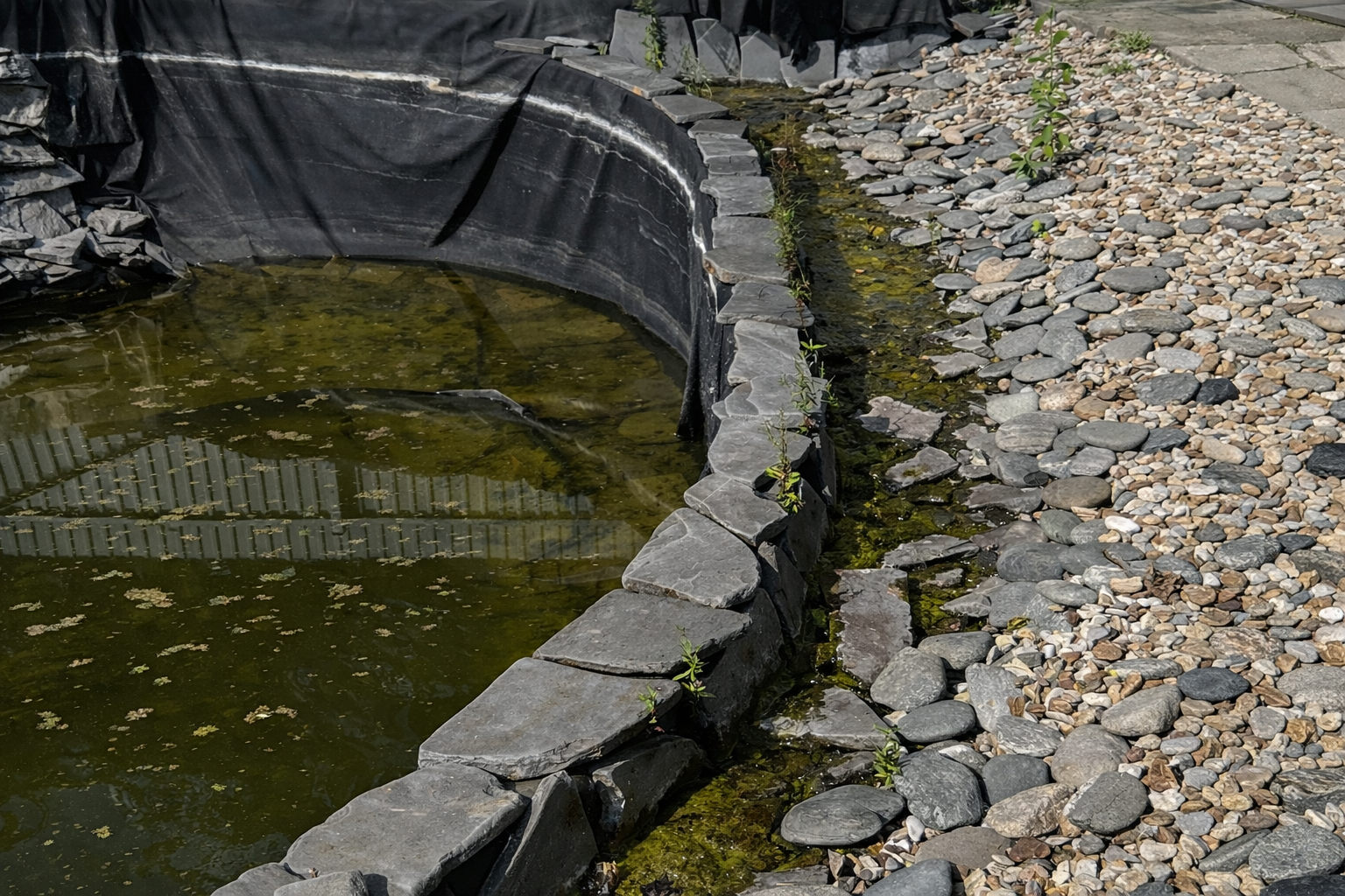 Red Hills — Чехов