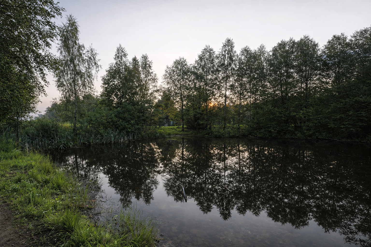 Строительство, чистка прудов и водоемов