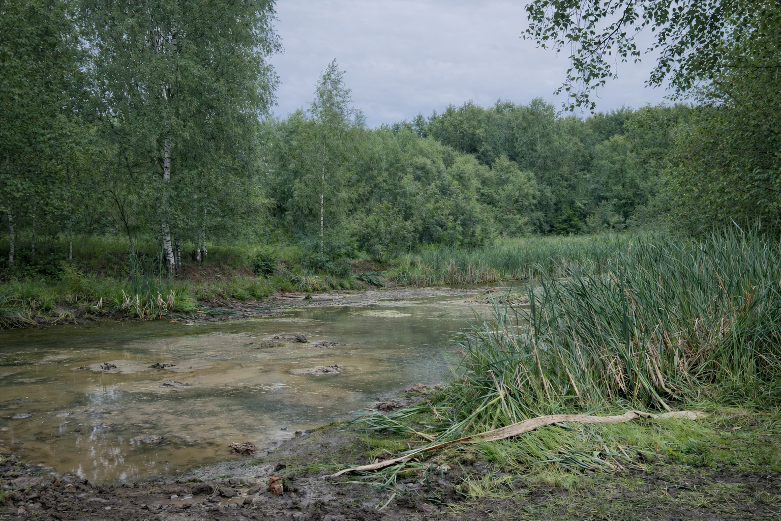 Red Hills — Ярославль