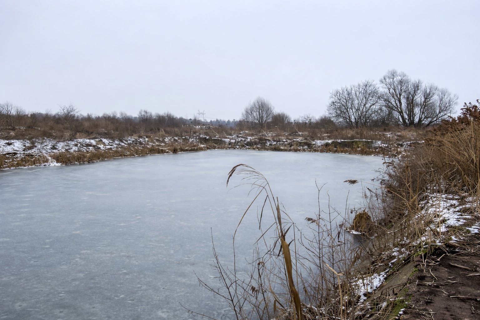 Red Hills проект 07