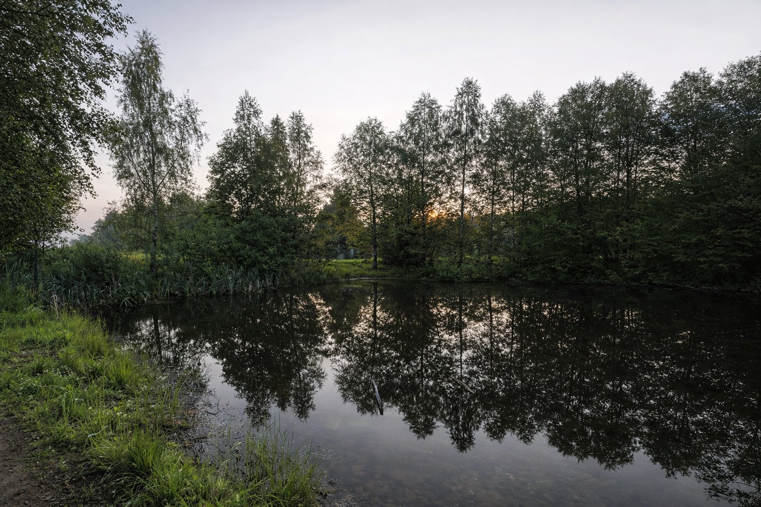 Работа RedHills — проект 4: очистка водоёмов, земляные работы, благоустройство