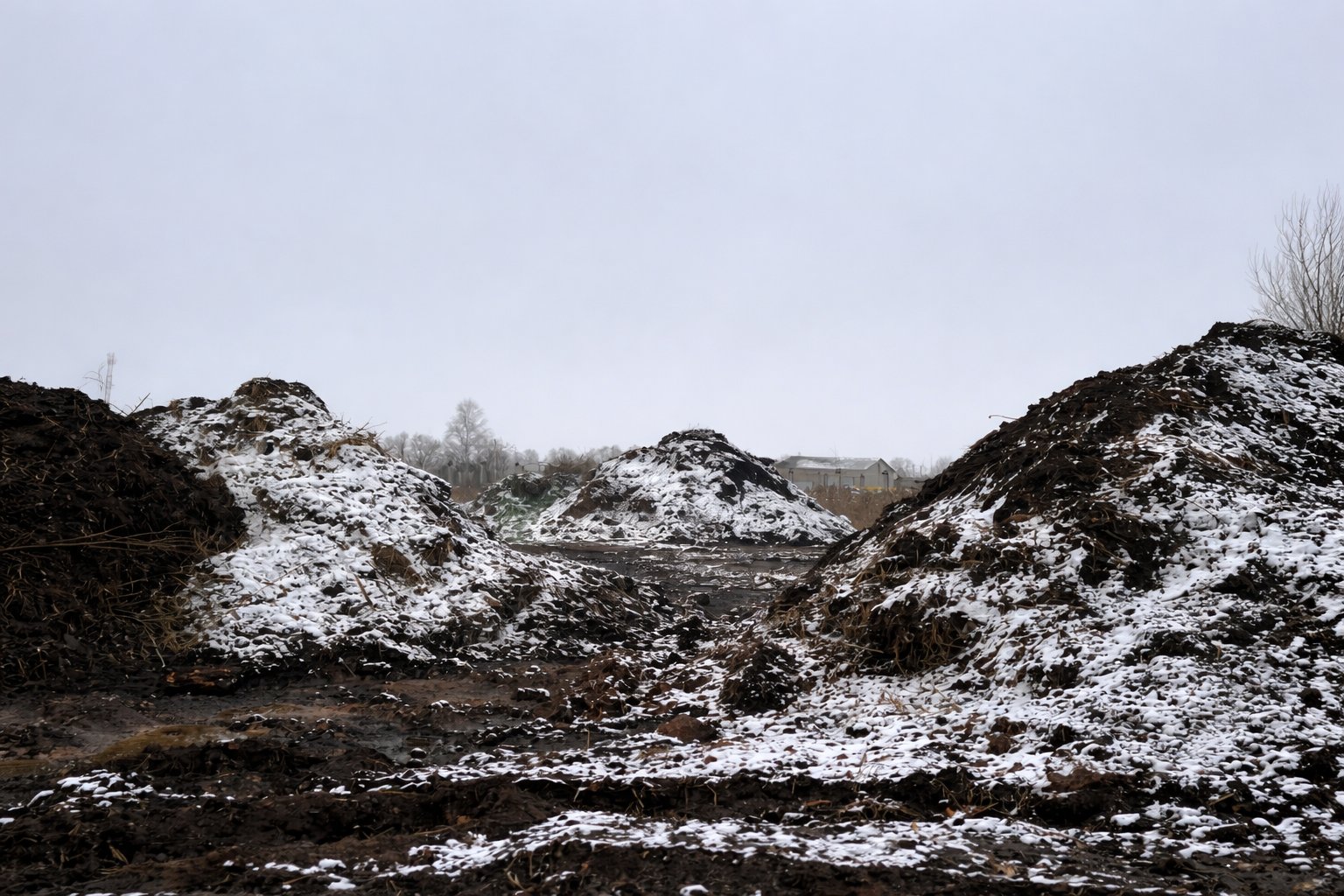 Работа RedHills — проект 5: очистка водоёмов, земляные работы, благоустройство